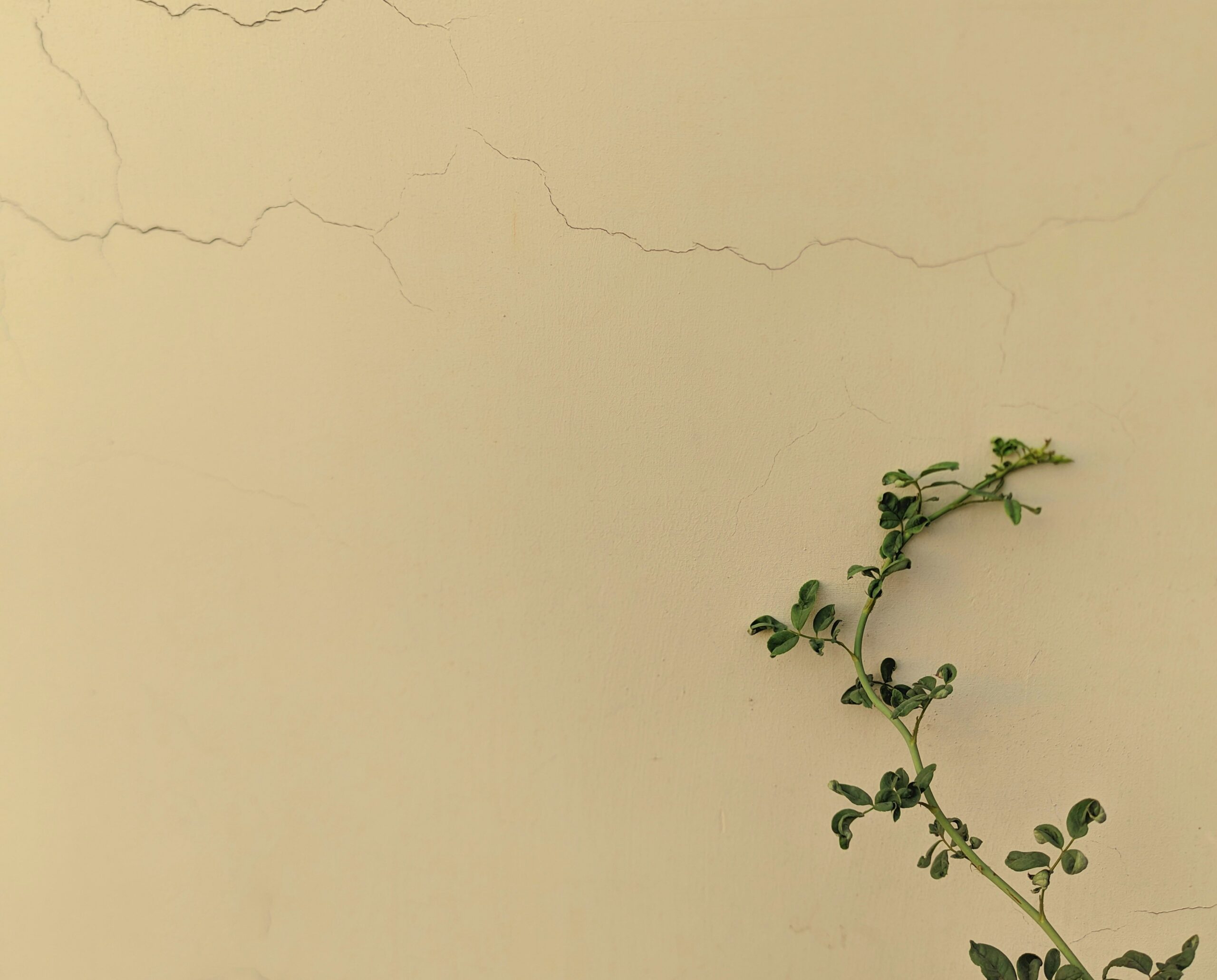 Hello World Featured Image